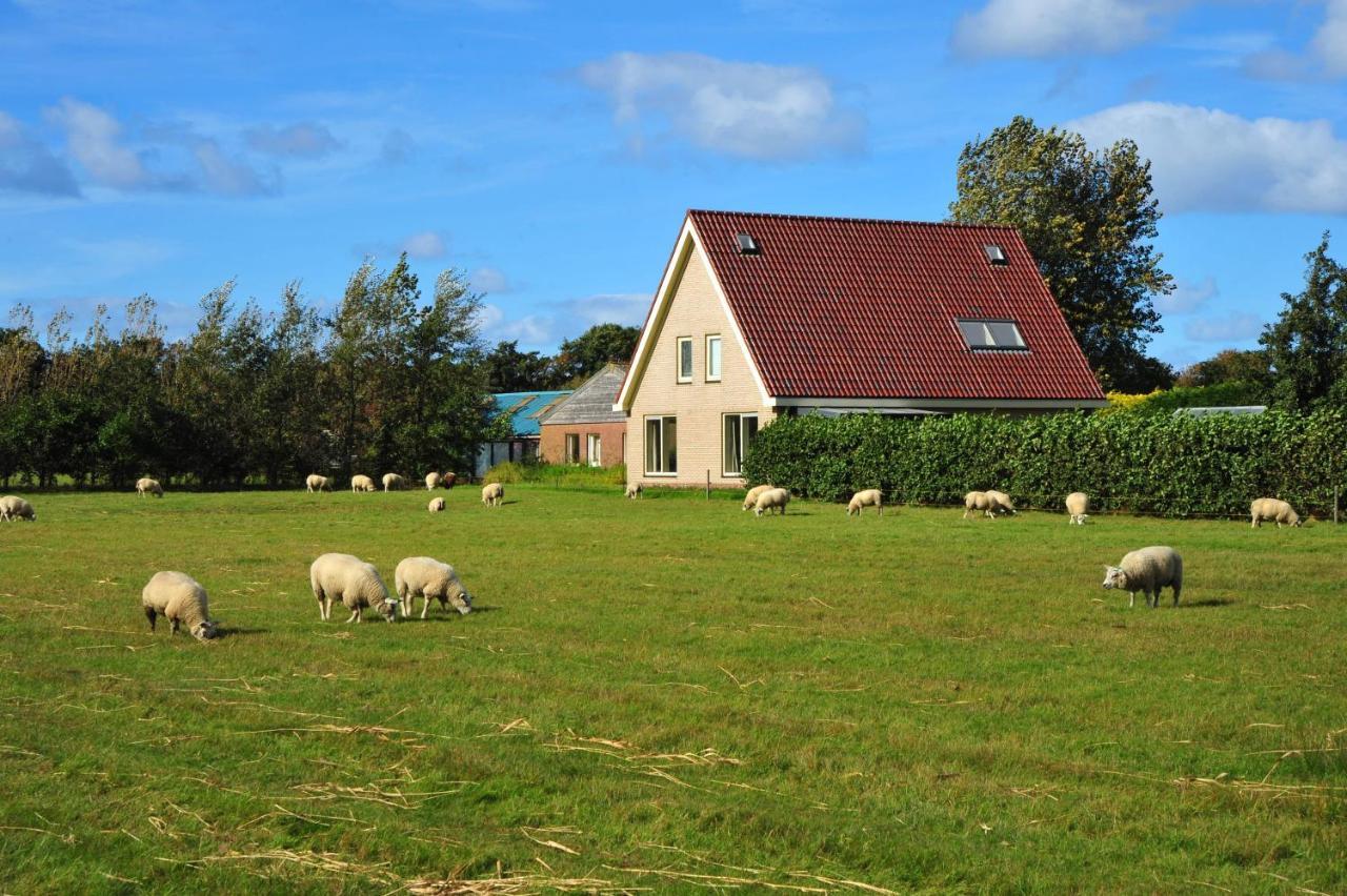 Witte Weelde Texel Bed & Breakfast De Koog  Bagian luar foto